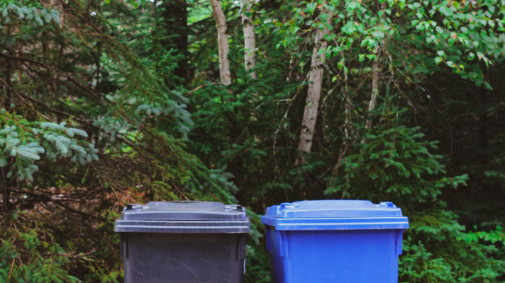 Which Garbage Bag is Right for You? - Arrowaste